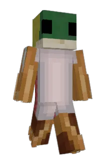 MrSalmon523 Minecraft avatar full body