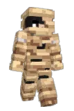 MrSam0 Minecraft avatar full body