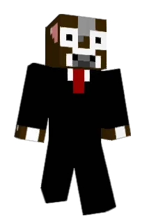 MrSheiny Minecraft avatar full body