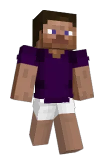 MrShzc Minecraft avatar full body