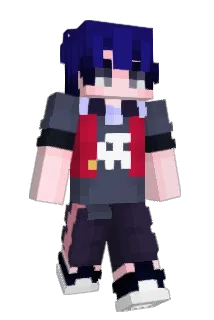MrSushi5 Minecraft avatar full body