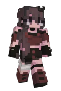 MrWDR40 Minecraft avatar full body