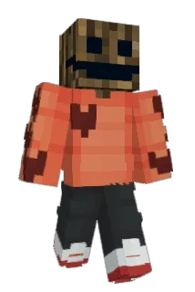 MrWoodChuck_ Minecraft avatar full body