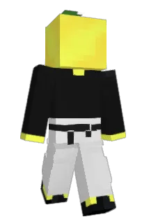 MrZitrrone Minecraft avatar full body