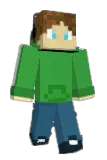 Mr_David_08 Minecraft avatar full body
