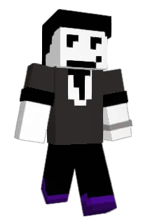 Minecraft-Avatar von Mr_Eraser29: ganzer Körper