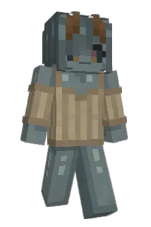 Mr_Imagination_ Minecraft avatar full body