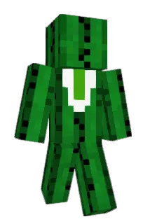 Mr_Mr_Cactus Minecraft avatar full body