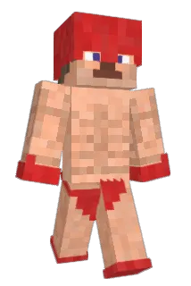 Mr_Namerrrr Minecraft avatar full body