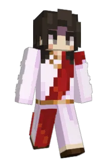 Mr_P4R4G0N Minecraft avatar full body
