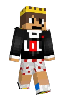 Mr_PoLsKa_ Minecraft avatar full body