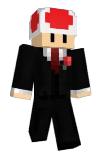 Mr_Toadcrafter69 Minecraft avatar full body