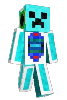 Mr_Unknown2010 Minecraft avatar full body