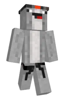 Mr_Yolo_ Minecraft avatar full body