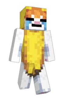 Mr_t0es Minecraft avatar full body