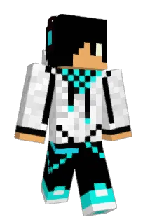 Mrbinbin Minecraft avatar full body