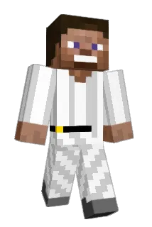 Mrblabla1200 Minecraft avatar full body