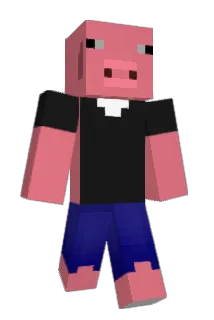 Mrcotedeporc02 Minecraft avatar full body