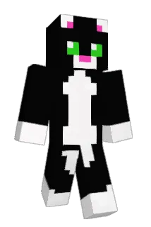 Mrcupcake9 Minecraft avatar full body