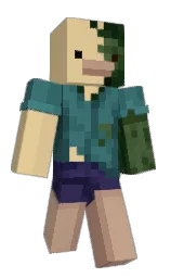 Custom render preview