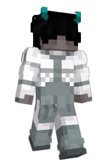 Mreyne71 Minecraft avatar full body