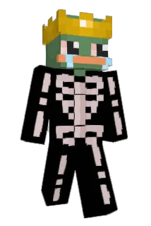Mrfintrex Minecraft avatar full body
