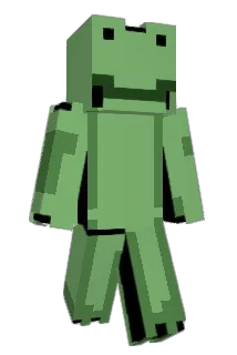 Mrfroggyz Minecraft avatar full body