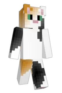 Mrpigz2 Minecraft avatar full body
