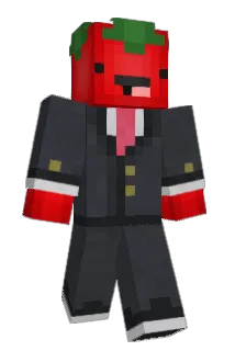MsTomatenqueen Minecraft avatar full body