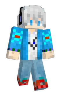 Msdzls Minecraft avatar full body
