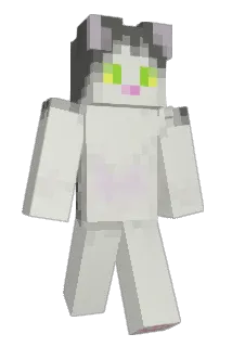 MtTAKAO Minecraft avatar full body