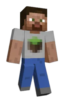 MuddyFire Minecraft avatar full body
