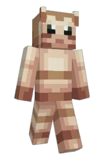 Muddyferret Minecraft avatar full body