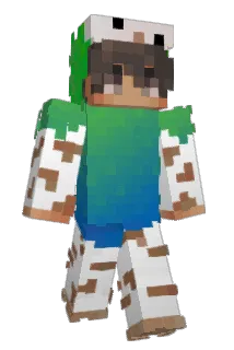 Mudgojecool Minecraft avatar full body