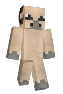 MulaB_ Minecraft avatar full body