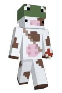 Mulchdiggums111 Minecraft avatar full body
