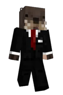 Mulotvp Minecraft avatar full body