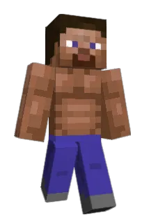 Multi Minecraft avatar full body