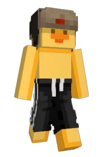 Muppets5 Minecraft avatar full body