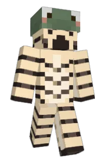 Mushroomrave Minecraft avatar full body