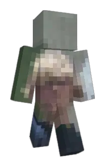 Mutigertobi Minecraft avatar full body