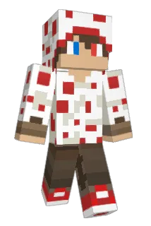 Mxm_10 Minecraft avatar full body