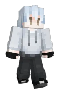 My138671 Minecraft avatar full body