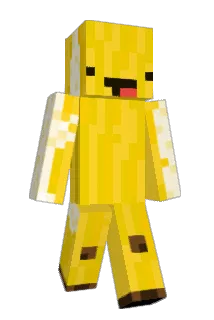 Myownplace99 Minecraft avatar full body