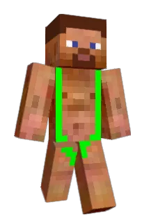 N00BS Minecraft avatar full body