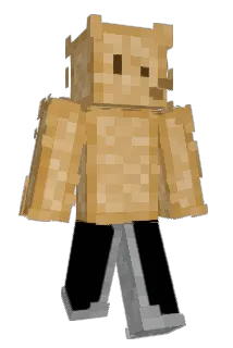 N0T_CC Minecraft avatar full body