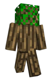 N0t4try Minecraft avatar full body