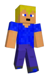 N10360 Minecraft avatar full body
