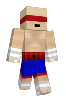 N1GGR259 Minecraft avatar full body