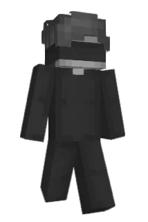 N1GHT_B34R Minecraft avatar full body